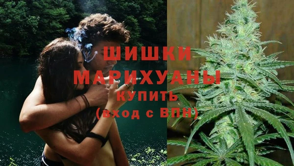 ГАЛЛЮЦИНОГЕННЫЕ ГРИБЫ Костерёво