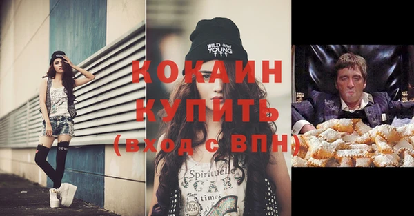 ГАЛЛЮЦИНОГЕННЫЕ ГРИБЫ Костерёво