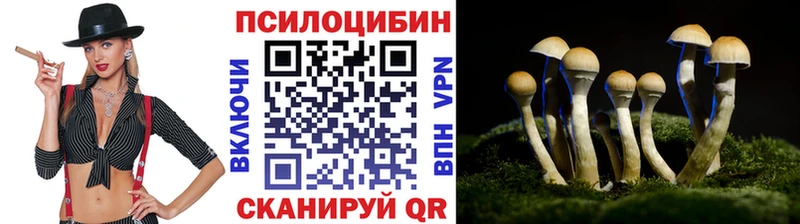 Купить где  Яранск  Галлюциногенные грибы Psilocybe 